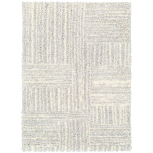 Surya Everton Plus EVP-2314 Light Gray Modern Machinemade Rug