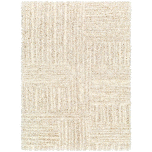 Surya Everton Plus EVP-2315 Ivory Modern Machinemade Rug