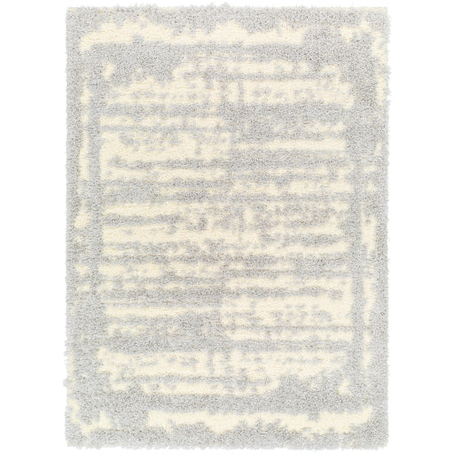 Surya Everton Plus EVP-2316 Light Gray Modern Machinemade Rug