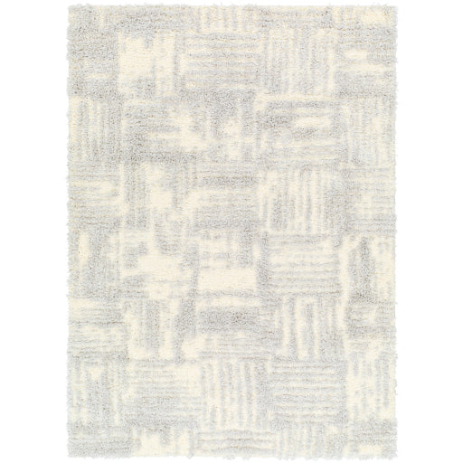 Surya Everton Plus EVP-2318 Light Gray Modern Machinemade Rug