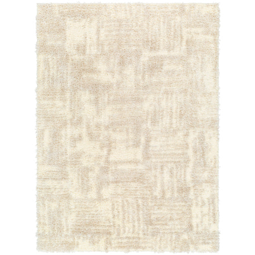 Surya Everton Plus EVP-2319 Ivory Modern Machinemade Rug