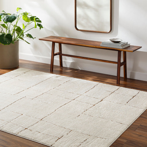 Surya Freud FEU-2310 Ivory Modern Machinemade Rug