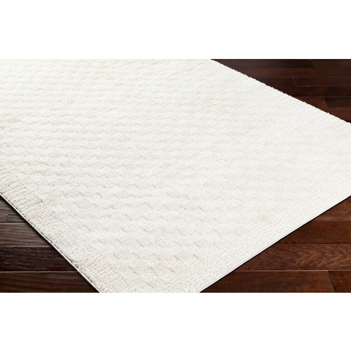 Surya Freud FEU-2327 Ivory Modern Machinemade Rug