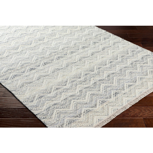 Surya Fulham FHM-2307 Cream Global Woven Rug