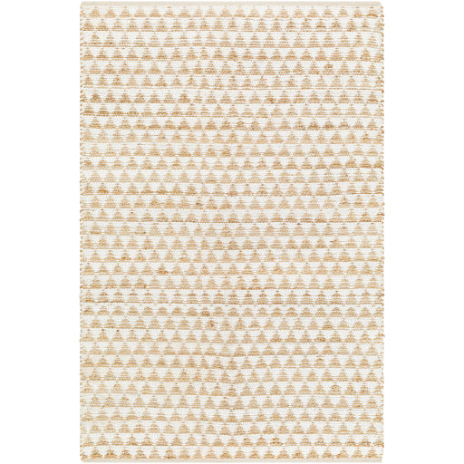 Surya Jean JEA-2309 Ivory Modern  Rug