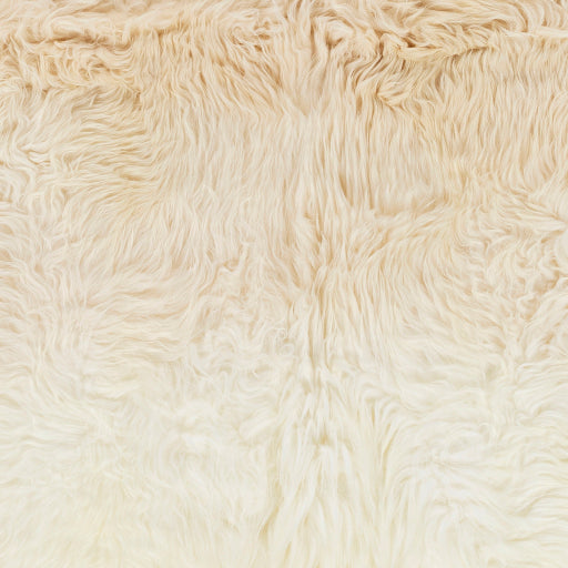 Surya Kapuni KAP-2305 Tan Modern  Rug