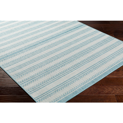 Surya Long Beach LBH-2306 Aqua Global  Rug