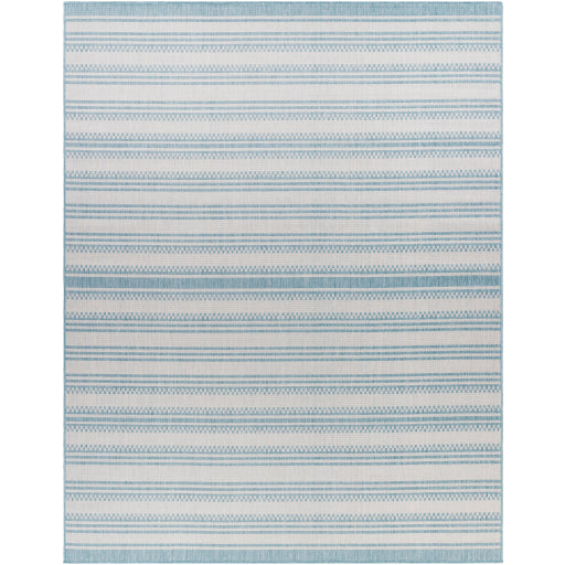 Surya Long Beach LBH-2306 Aqua Global  Rug