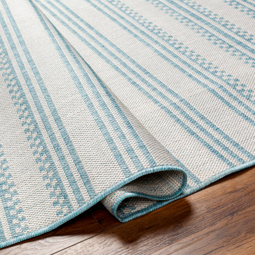 Surya Long Beach LBH-2306 Aqua Global  Rug