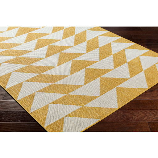 Surya Long Beach LBH-2308 Mustard Global  Rug