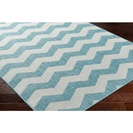 Surya Long Beach LBH-2311 Aqua Global  Rug