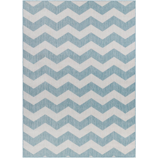 Surya Long Beach LBH-2311 Aqua Global  Rug