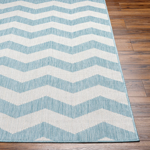 Surya Long Beach LBH-2311 Aqua Global  Rug