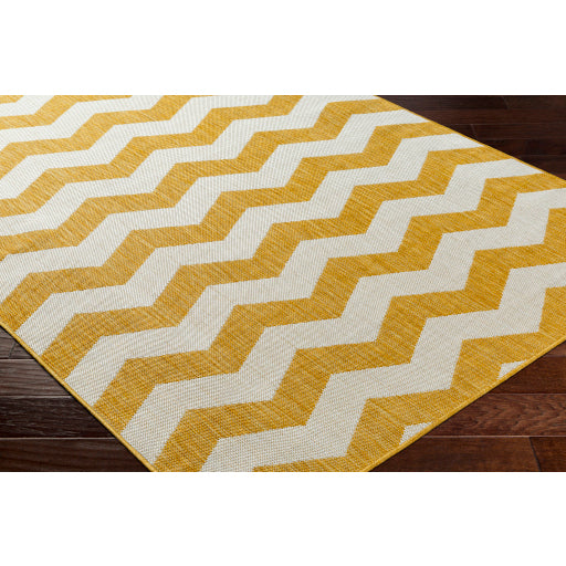 Surya Long Beach LBH-2312 Mustard Global  Rug