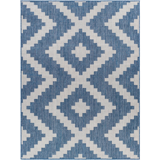 Surya Long Beach LBH-2314 Navy Global  Rug