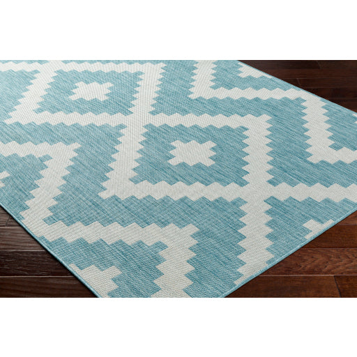 Surya Long Beach LBH-2315 Aqua Global  Rug