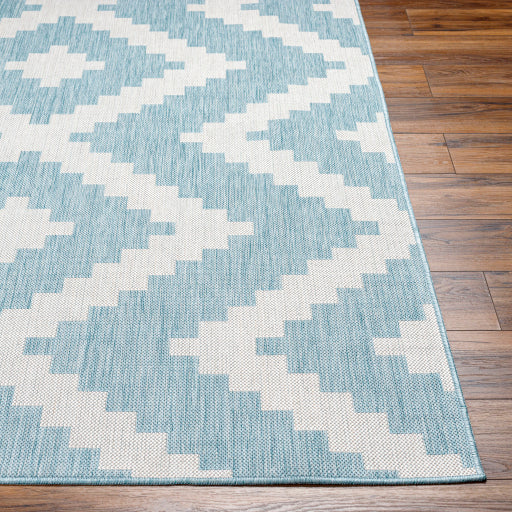 Surya Long Beach LBH-2315 Aqua Global  Rug