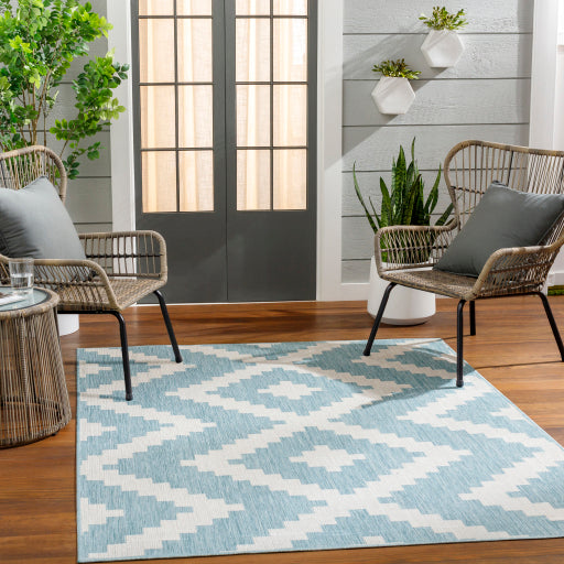 Surya Long Beach LBH-2315 Aqua Global  Rug