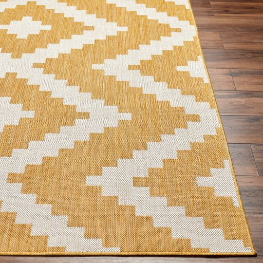 Surya Long Beach LBH-2316 Mustard Global  Rug