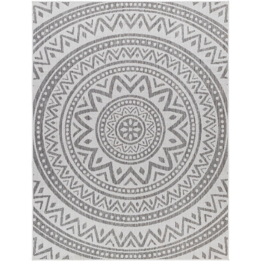 Surya Long Beach LBH-2318 Ivory Global  Rug