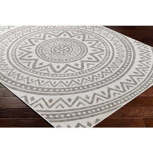 Surya Long Beach LBH-2318 Ivory Global  Rug