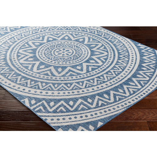 Surya Long Beach LBH-2319 Navy Global  Rug