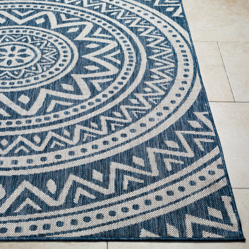 Surya Long Beach LBH-2319 Navy Global  Rug