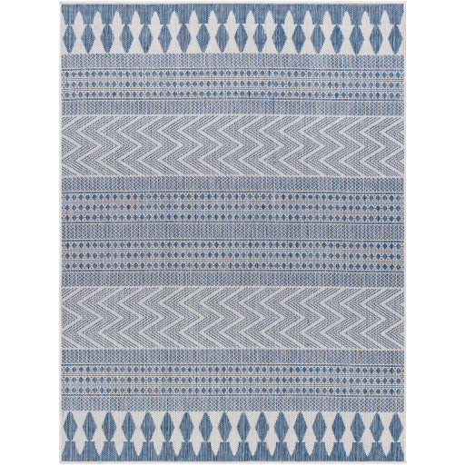 Surya Long Beach LBH-2324 Navy Global  Rug