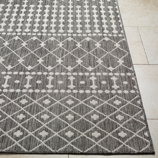 Surya Long Beach LBH-2328 Charcoal Global  Rug