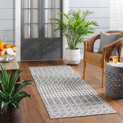 Surya Long Beach LBH-2328 Charcoal Global  Rug