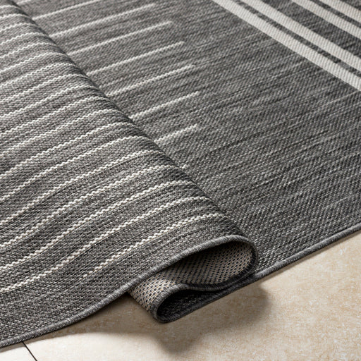 Surya Long Beach LBH-2333 Charcoal Global  Rug