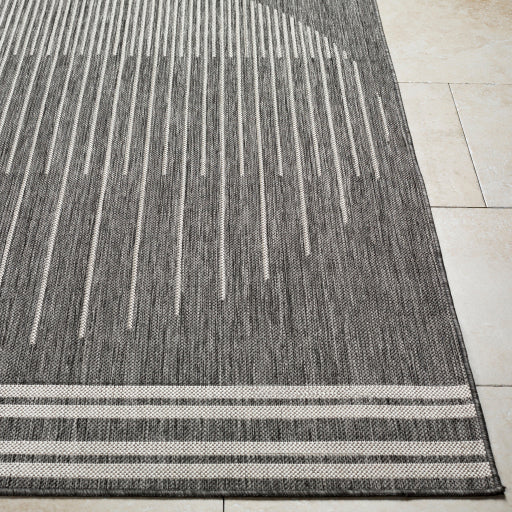 Surya Long Beach LBH-2333 Charcoal Global  Rug