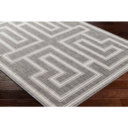 Surya Long Beach LBH-2342 Charcoal Global  Rug