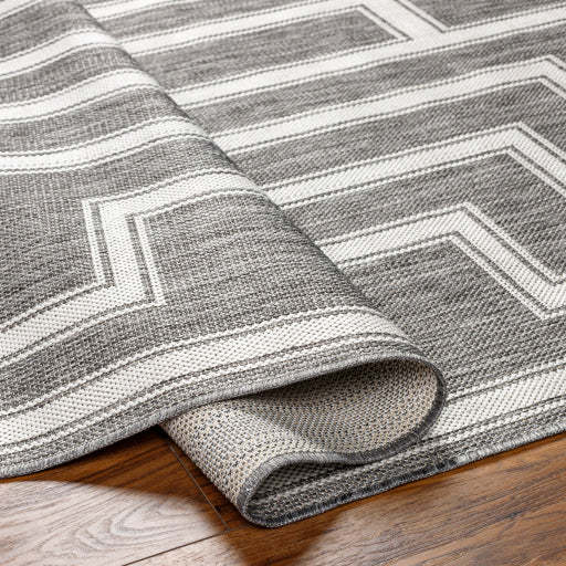 Surya Long Beach LBH-2342 Charcoal Global  Rug