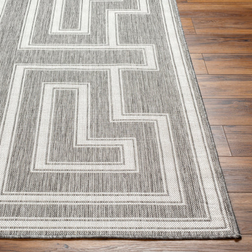 Surya Long Beach LBH-2342 Charcoal Global  Rug