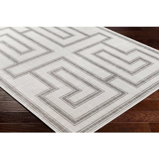 Surya Long Beach LBH-2343 Charcoal Global  Rug