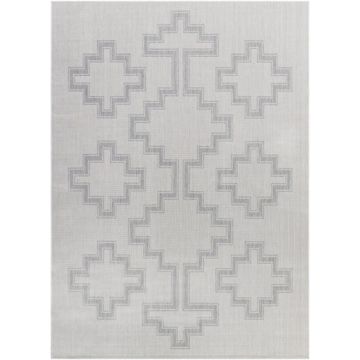 Surya Long Beach LBH-2346 Ivory Global  Rug