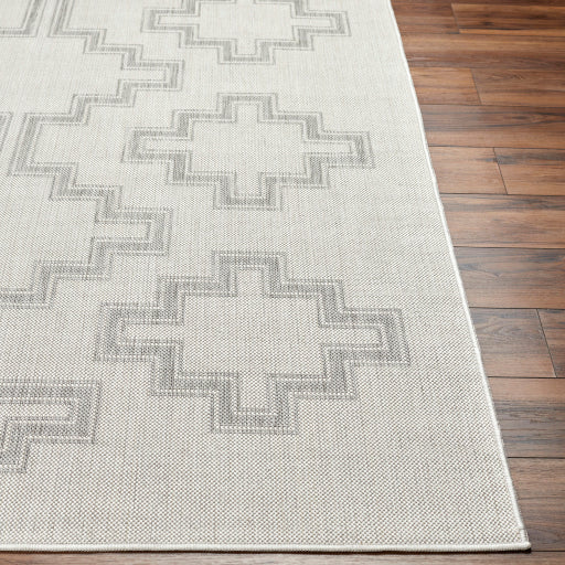 Surya Long Beach LBH-2346 Ivory Global  Rug