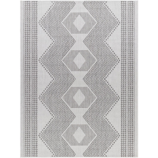 Surya Long Beach LBH-2347 Charcoal Global  Rug