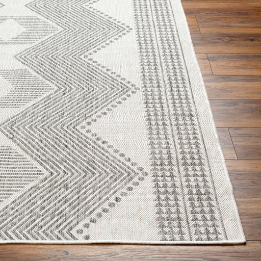 Surya Long Beach LBH-2347 Charcoal Global  Rug