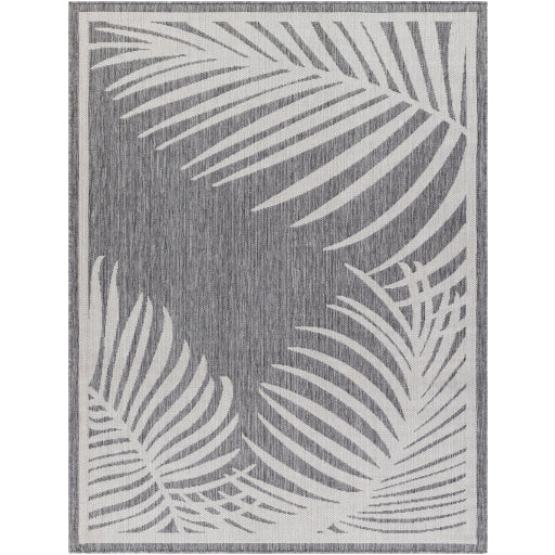 Surya Long Beach LBH-2350 Charcoal Coastal  Rug