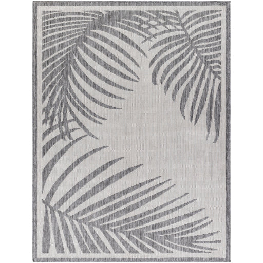 Surya Long Beach LBH-2352 Charcoal Coastal  Rug