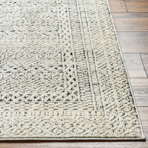 Surya La Boheme LHB-2300 Ivory Global  Rug