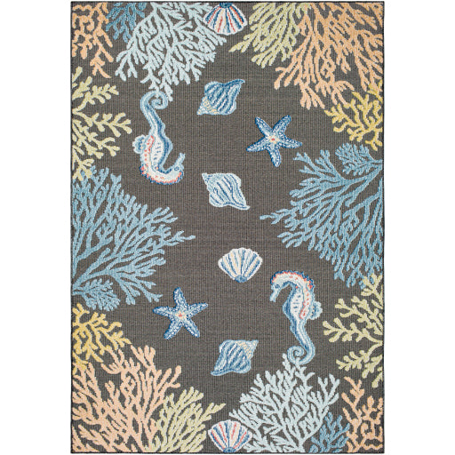 Surya Lakeside LKD-2310 Charcoal Coastal  Rug