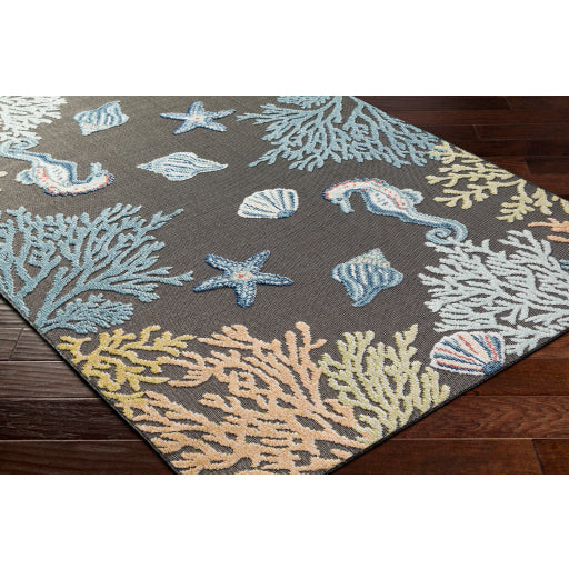 Surya Lakeside LKD-2310 Charcoal Coastal  Rug