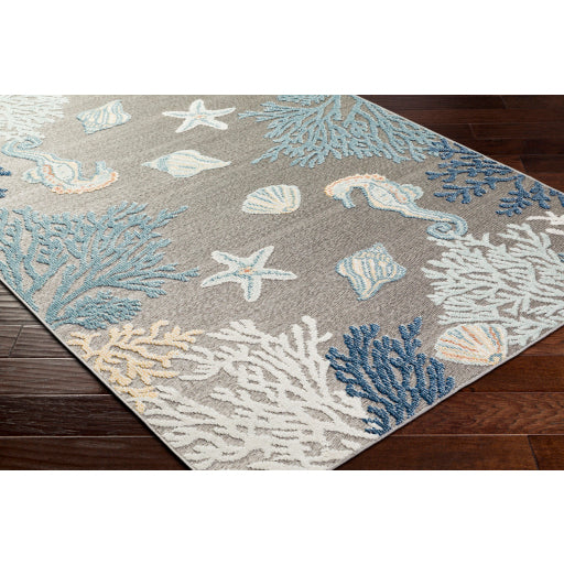 Surya Lakeside LKD-2311 Gray Coastal  Rug