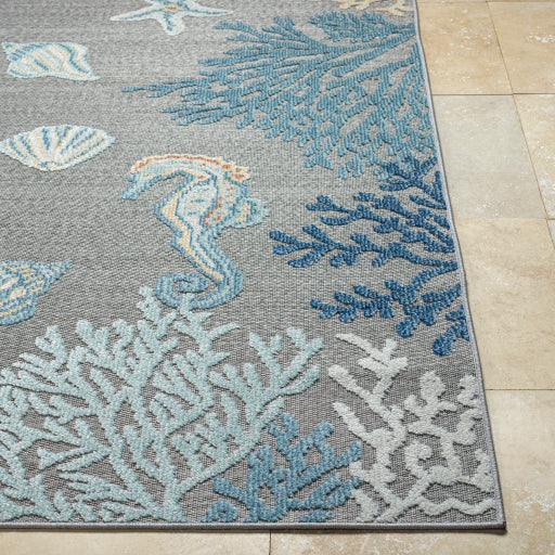 Surya Lakeside LKD-2311 Gray Coastal  Rug