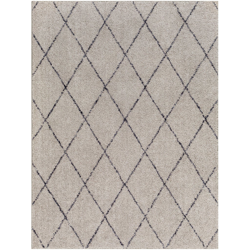 Surya Lykke LKK-2302 Light Gray Global  Rug