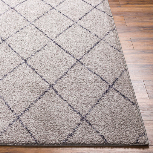 Surya Lykke LKK-2302 Light Gray Global  Rug