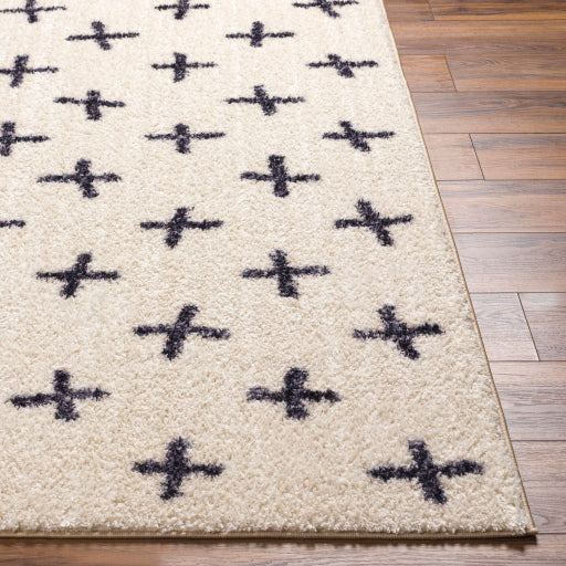 Surya Lykke LKK-2303 Ivory Global  Rug